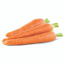 carrot